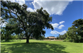 Senior Activity Center Lawn with Live Oak Tree Overlooking Wolf Bay
