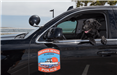 K9 Sadie